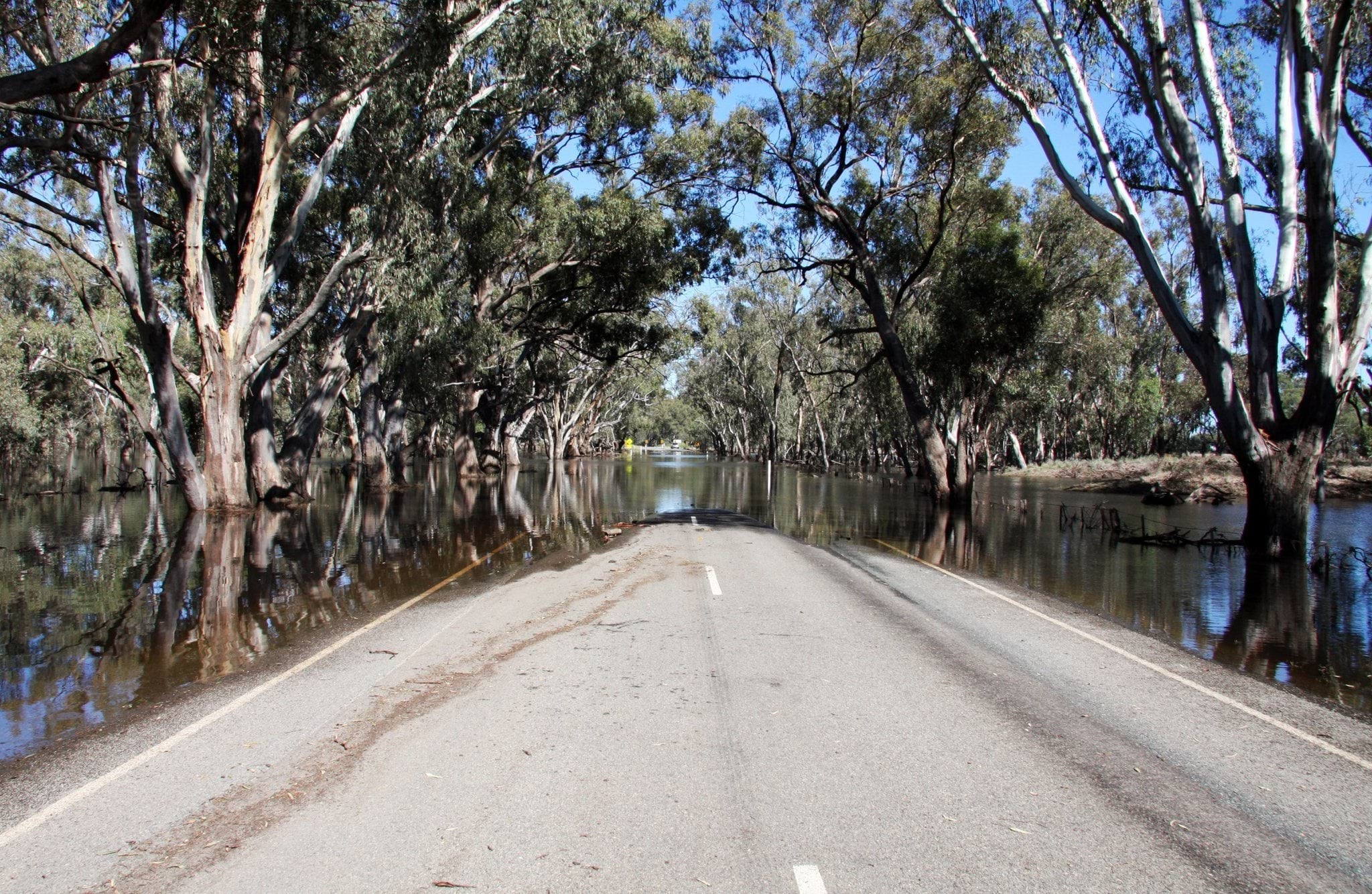 About us - header About us - header